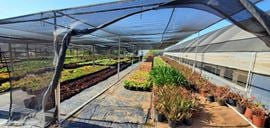 22.86 Acres of Land with 3 houses and greenhouses in Bonsall