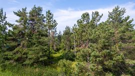 733 Riggs Dr