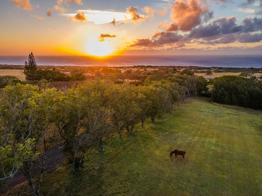 Hawaii Guest Ranch