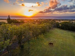 Hawaii Guest Ranch