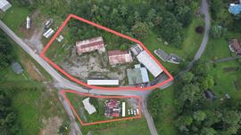 528  Pineola Rd