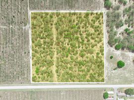 9.65± Acres on Friedlander Rd | Lake Wales- Polk County | Rural Homesite / Ag / Recreation