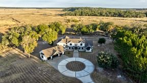 Marsh Oaks