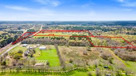 ±80 Acres For Sale | Prime Land Opportunity in New Waverly, TX