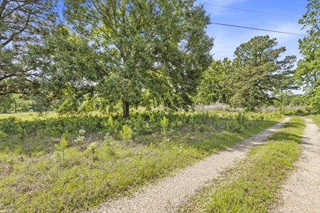 VacantLand space for Rent at 15780 FM 3083 in Conroe