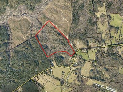 STRIBLING TRACT 51.3 ACRES