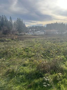 6.67 Acre Grass Valley Lot