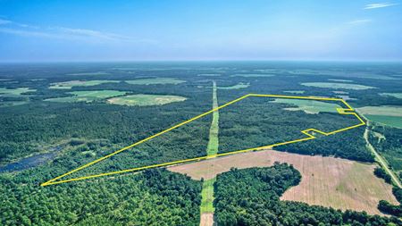 VacantLand space for Sale at Liberty Hill Road in Blakely