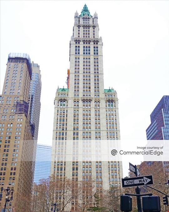 The Woolworth Building