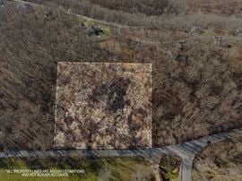 Spanker Creek Rd