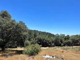±20 Acres of Level Land in Brownsville, CA