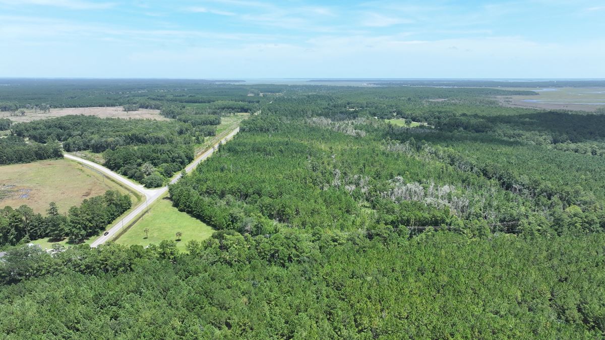 430 Development Acres in McIntosh County Georgia