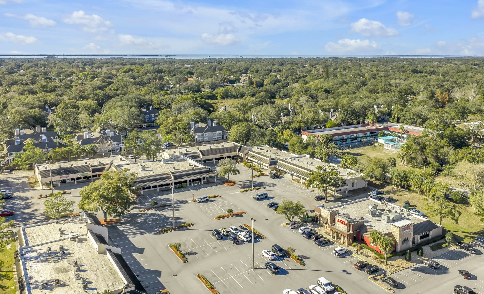 31988 Us Highway 19 North, Palm Harbor, FL 34684