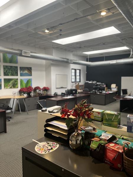 1606 Argyle Ave - Los Angeles