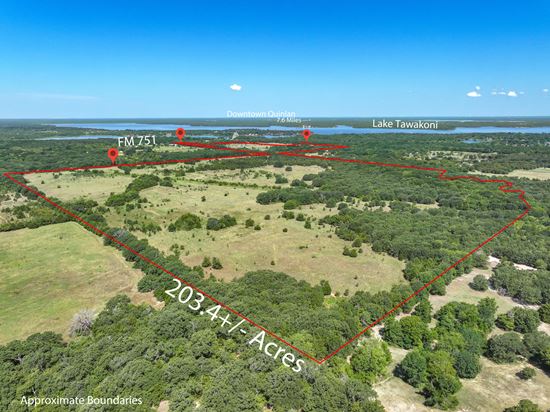 203.41 Acres in Wills Point
