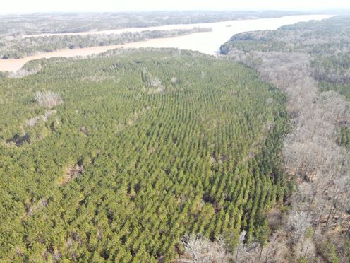 Rocky Creek Road - 341.52 Acres
