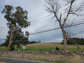 Water Sewer Village of Chester Retail Land for Sale