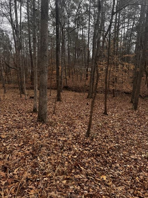 Lakewood Trace - 3.18 Acre Lot