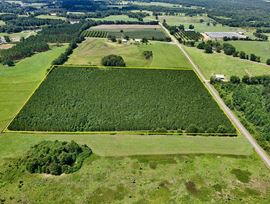 Edgefield Homesite