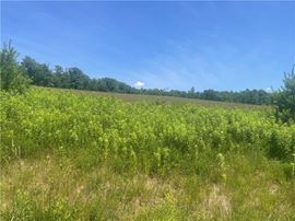 Schlafer Rd