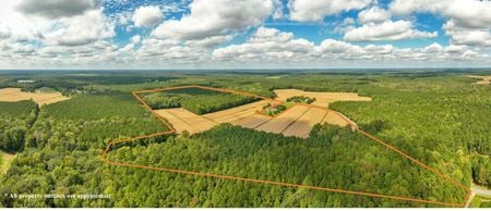 VacantLand space for Sale at 0 Bob Smith Rd in Parsonsburg