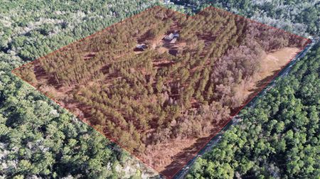 VacantLand space for Sale at 3379 Acy Rd in Vernon