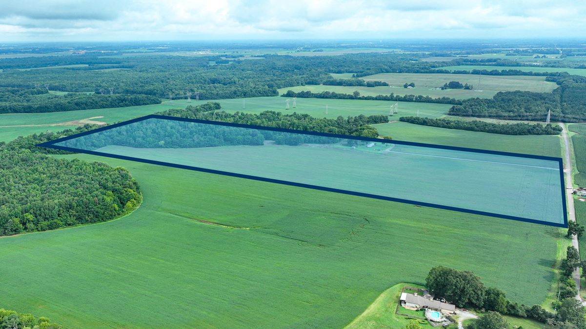Prime Residential/Commercial Development Land