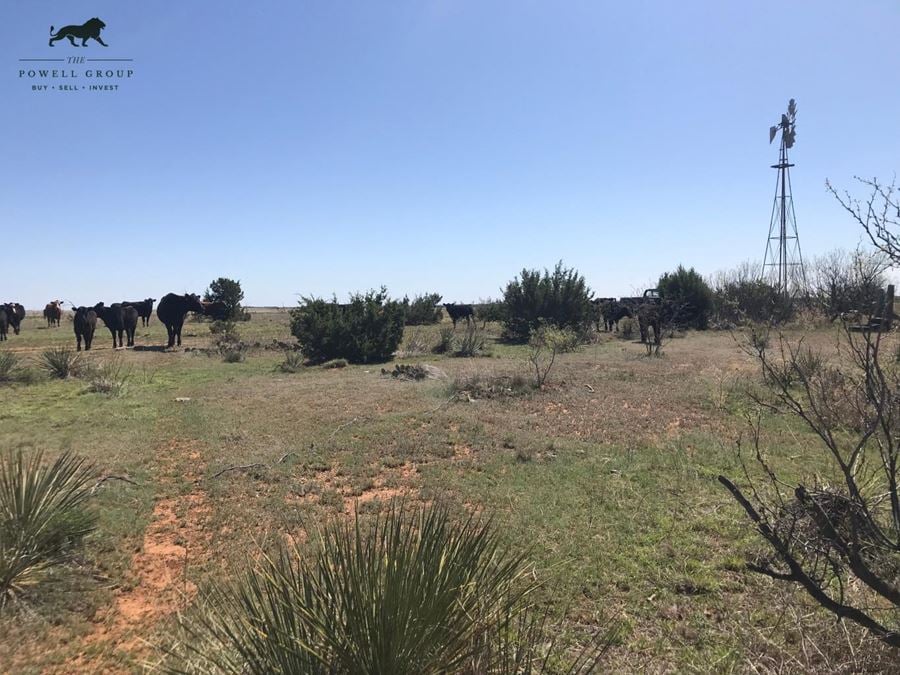 80-Acre Ranch in Flomot, Texas