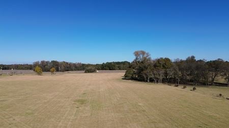 VacantLand space for Sale at 269 Pea Ridge Rd in Cochran