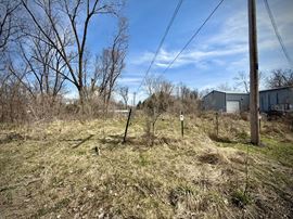 City of Lansing Commercial Grow in Green Zone