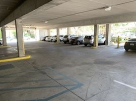 South Tampa / Hyde Park Medical / Professional Office