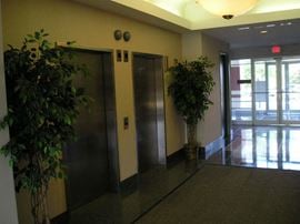 Treeview Corporate Center