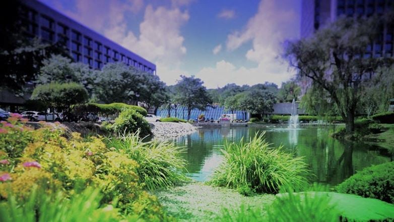 Pearl River Office Evolution