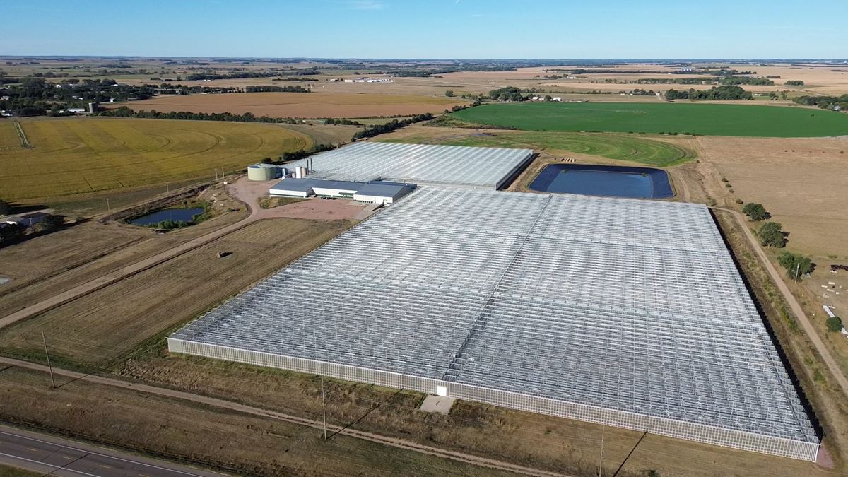 Large-Scale Industrial Greenhouse Operation