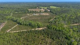 41+/- AC Residence, Farm, Timber + 1200 SF & 1800 SF storage buildings