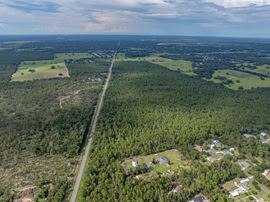 Floral City 205 Acres
