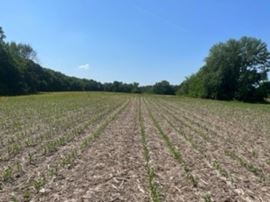 Vacant Land For Sale - W Fauber Rd.