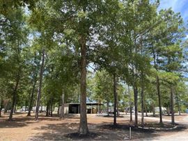 45-Unit RV Park: East to West RV Park & Storage in Willis TX