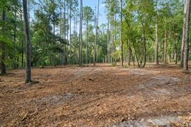 Brooksville 12 Acre Tract