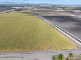 85.96 Acres || Agricultural Land || Dos Palos