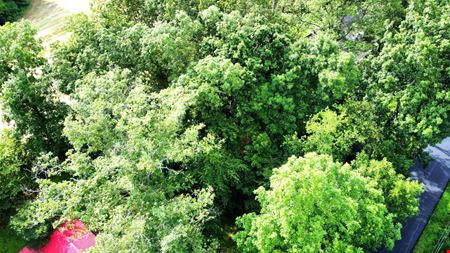 Land space for Sale at Rosie Gayle Drive NE in Palmyra