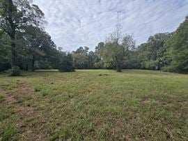 Leased Office and Land for Development
