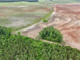 County Line Pasture Land
