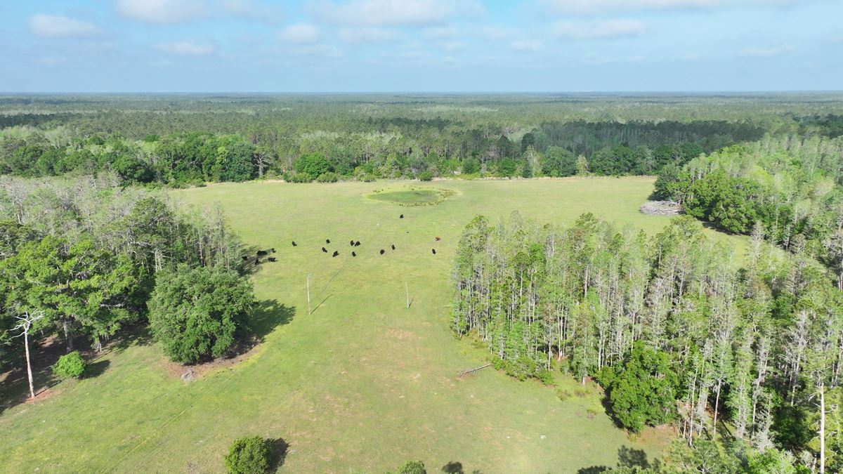 Rockridge Ranch