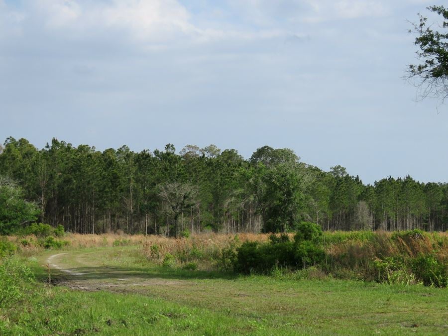 McGee Branch East Tract