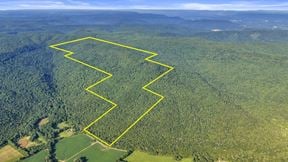 West Dempsey 339 Acres