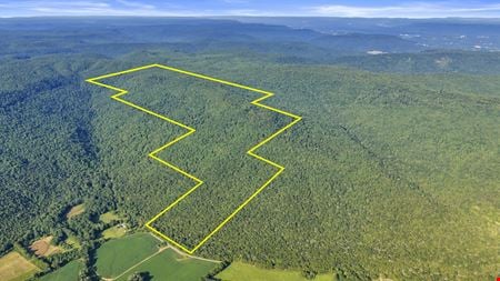 VacantLand space for Sale at County Road 170 in Stevenson