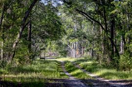 Raccoon Creek Hunting & Timber