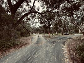 Executive Homesite - 4.19 Acres, Florida