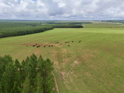 10 Shy Ranch and Timber